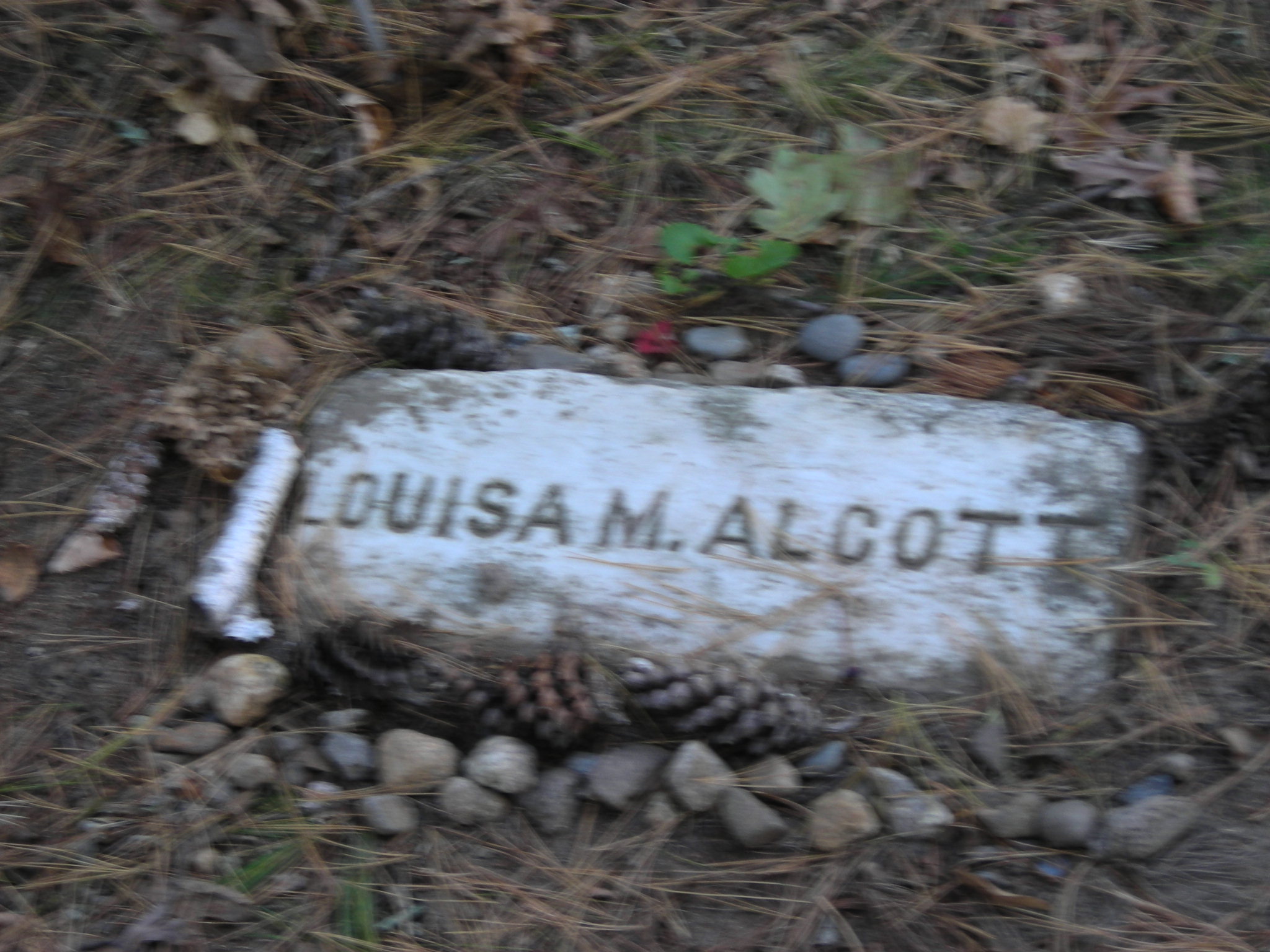 Presenting Louisa May | Lifeonthecutoff&#39;s Blog