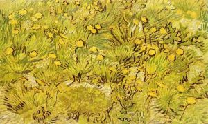 800px-A_Field_of_Yellow_Flowers